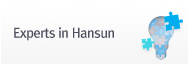 Experts in Hansun